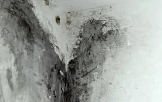 Mold growing on a white wall corner, emphasizing the need for black mold removal to eliminate harmful mold and restore the space.