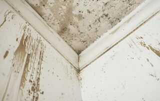 Moldy ceiling corner with visible water stains, part of water damage restoration.