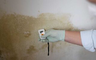 Mold inspection using moisture meter on wall