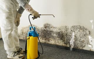 Office workspace with visible mold growth on walls and ceiling, symbolizing potential health risks and hazards of mold exposure in the workplace.