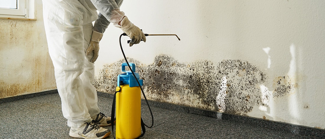 Office workspace with visible mold growth on walls and ceiling, symbolizing potential health risks and hazards of mold exposure in the workplace.