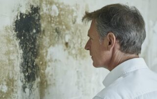 Man inspecting mold on wall surface. mold removal