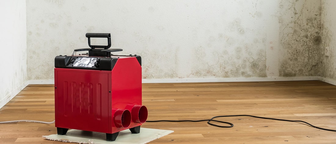 Dehumidifier running in a living room after a water leak, helping dry floors and walls to prevent mold growth.