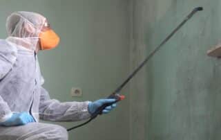 How much is mold removal? Costs vary by damage extent. ARC Restoration offers expert mold removal for a safe, affordable solution.