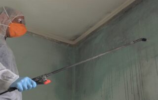 ARC Restoration experts use advanced methods to safely remove mold, ensuring thorough mold removal and a clean, healthy space.