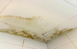 Visible ceiling stains in ARC Restoration’s guide How to Tell if Water Damage is Old or New show signs of long-term water exposure and mold growth.