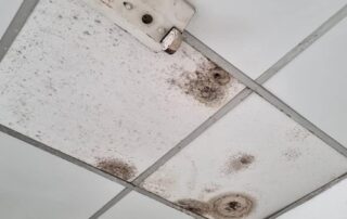 Identifying-Water-Damage-on-Ceilings-Signs-and-Symptoms