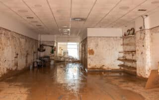 The main causes of commercial water damage include leaks and floods. ARC Restoration provides expert commercial restoration to prevent costly damage.