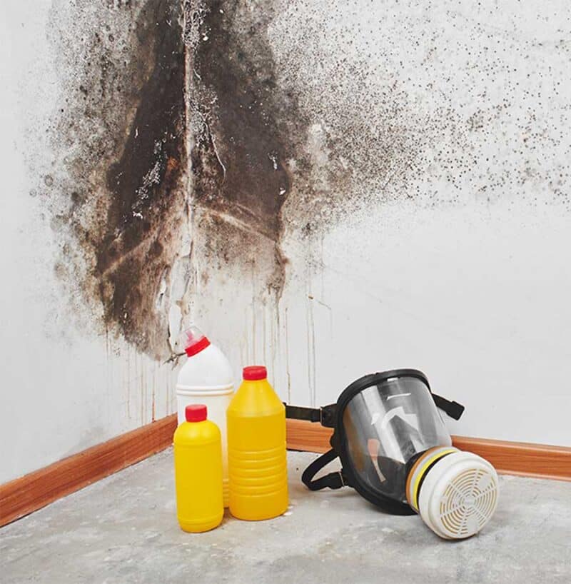 Watch Video Mold Removal Denver