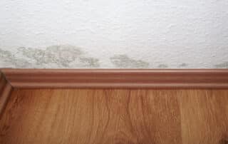 Mold stains along the base of a wall above wooden flooring.