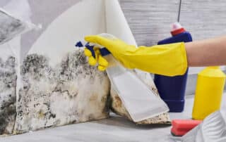 Advanced Restoration of Colorado explains Mold and Mildew: Spot the Difference. Cleaning mold from a bathroom wall with a spray bottle for mold removal.