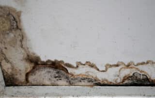 Mold growth on bathroom ceiling edges, highlighting the need for water damage cleanup to remove mold and restore the area affected by water damage.