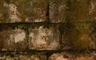 Modern stone foundation wall with a close-up view of a window well, showing potential water intrusion points around the frame, gravel base, and sealant edges. Image illustrates common causes of leaks and highlights effective fixes such as proper drainage, well covers, and improved sealing to prevent moisture entry.