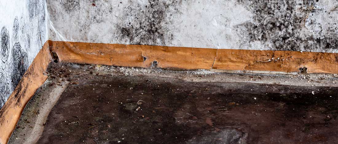 A severely water-damaged wall and floor with dark stains, mold growth, and deteriorated baseboards, illustrating the hazards of Category 3 water contamination. Used for “What Is Category 3 Water? A Plain-English Walkthrough of IICRC Classifications” by ARC Restoration.
