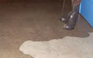 What to do in the first 24 hours after a basement flood, highlighting immediate cleanup steps, safety precautions, water removal, damage assessment, and actions homeowners should take to prevent mold growth and further structural damage.