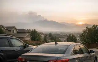 Dealing with Smoke Damage from Summer Forest Fires