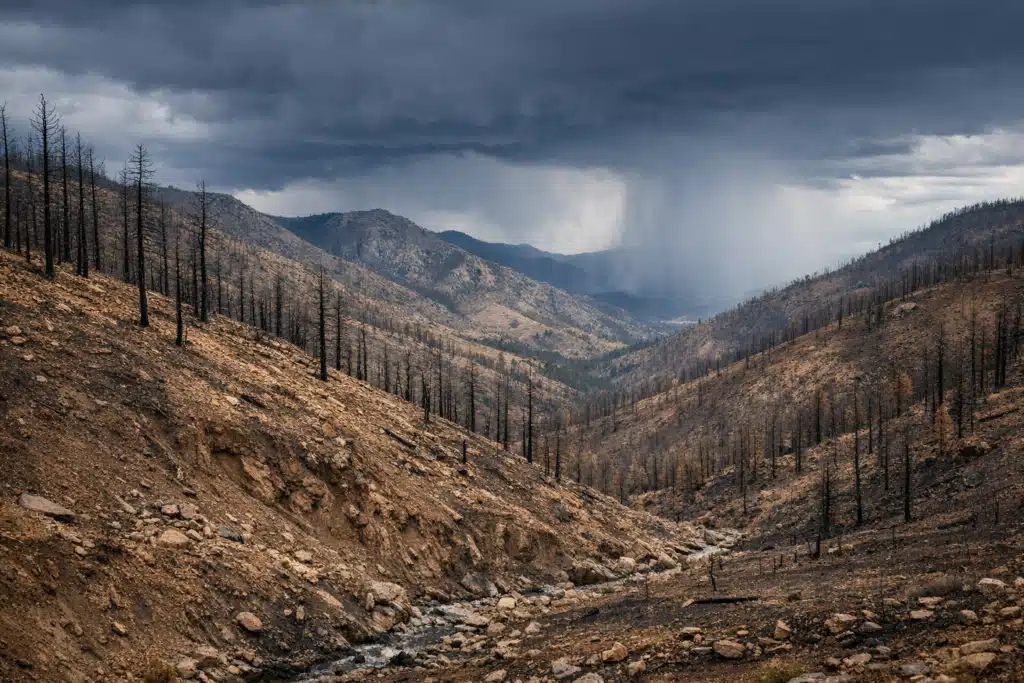 Preparing for Flash Floods: A Colorado Homeowner’s Guide - 2